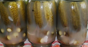 Jak pochopit, proč se okurky ve sklenicích zakalí a co dělat, aby se nevytvořila bílá sraženina